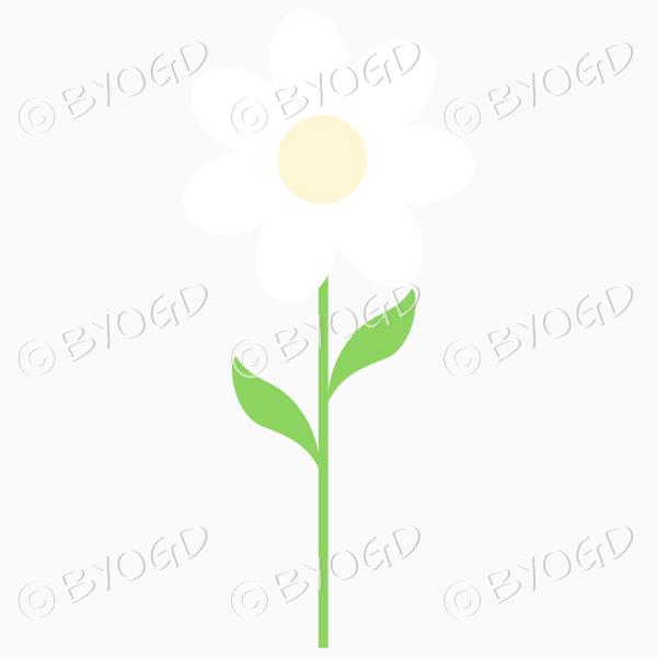 White flower with yellow middle and green leaves