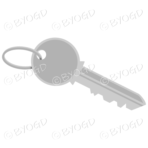 Silver door key on ring