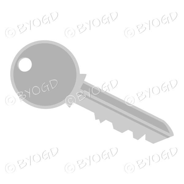 Silver door key
