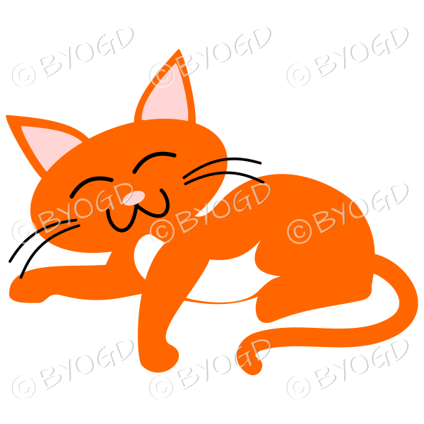Orange cat relaxing (Ginger)