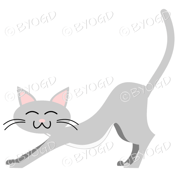 Grey cat stretching.