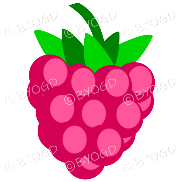 A healthy, fruity raspberry. So good for you!