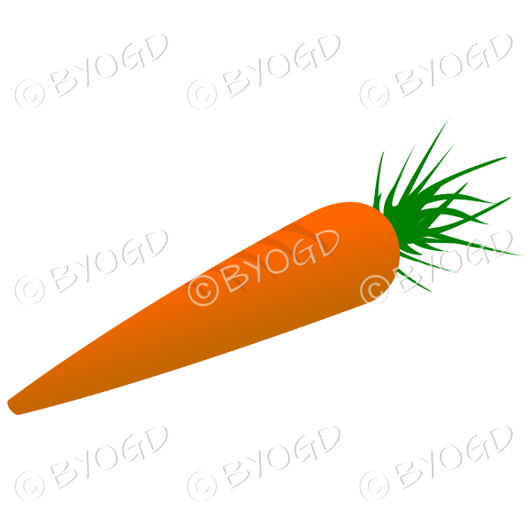 Raw unpeeled carrot - orange