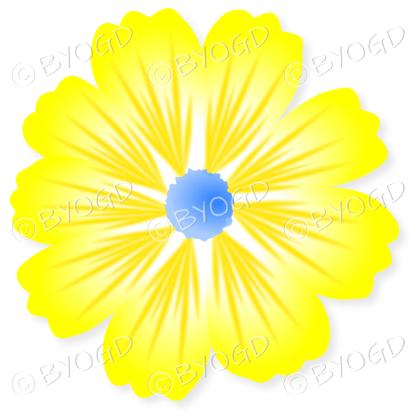 Yellow flower with blue centre