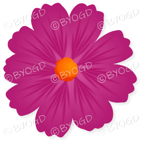 Dark pink flower with orange centre