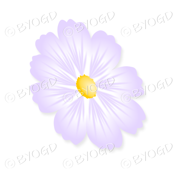 Pale purple flower with yellow centre tilted sideways
