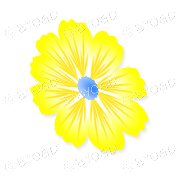 Yellow flower with blue centre tilted sideways
