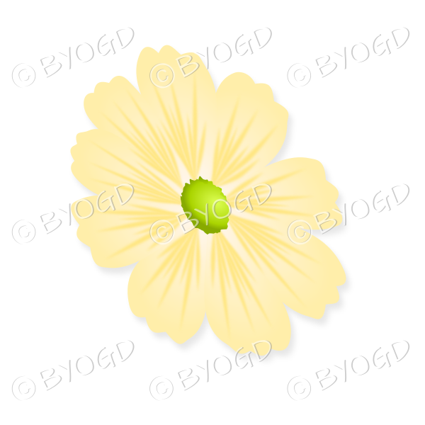 Yellow flower with green centre tilted sideways