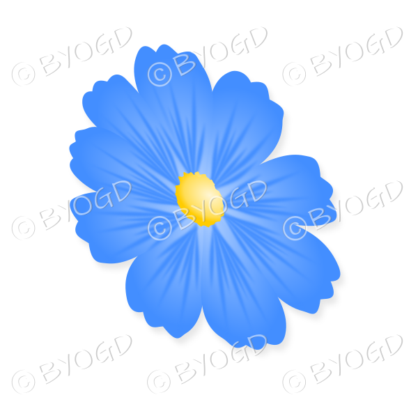 Blue flower with yellow middle