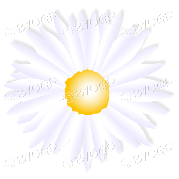 White and purple flower with yellow middle