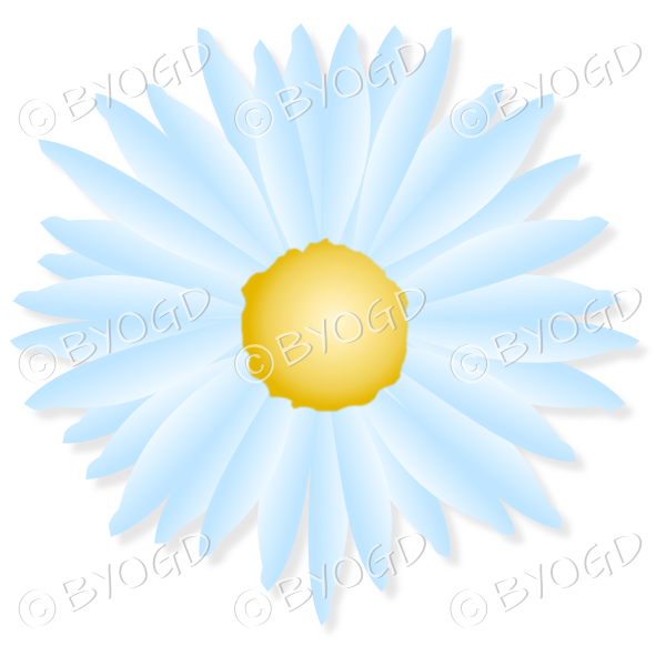 Pale blue flower with yellow middle