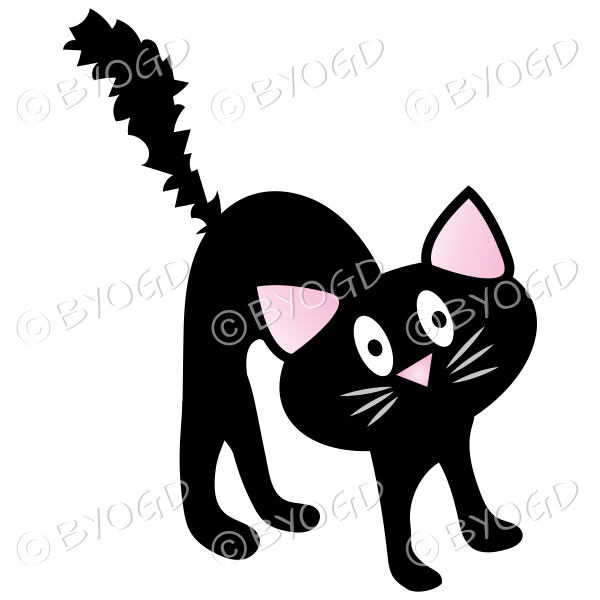 Halloween scared black cat