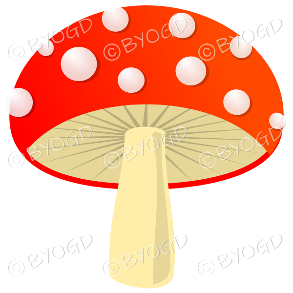 Halloween wide red toadstool mushroom with white spots