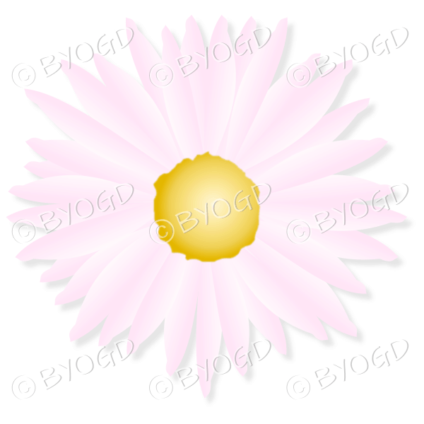 Pale pink flower with yellow middle