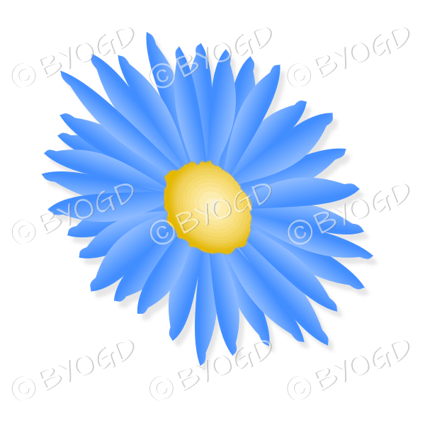 Blue flower with yellow middle tilted sideways