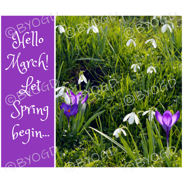 Quote image 57: Hello March! Let Spring begin…