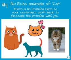 Echo image 1 - No echo example of Cats