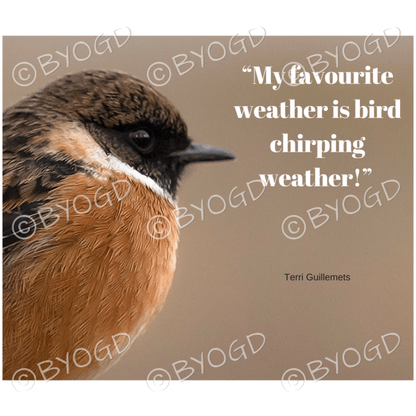 Quote image 88: My favourite weather is bird chirping weather!