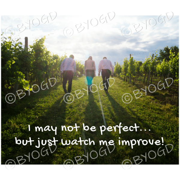 Quote image 108: I may not be perfect