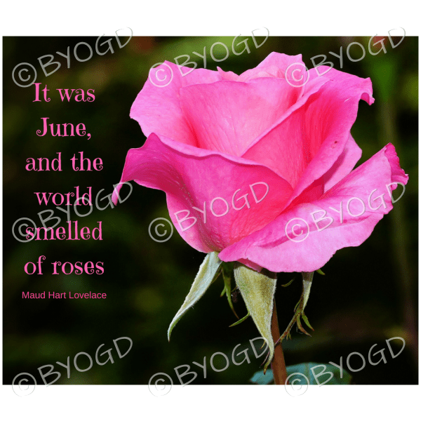 Quote image 111: It was June and the world