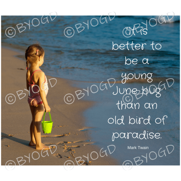Quote image 116: It is better to be a young June bug