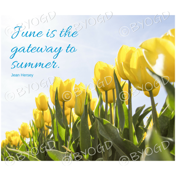 Quote image 120: June is the gateway to summer