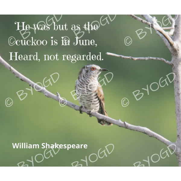 Quote image 122: He was but as the cuckoo is in June