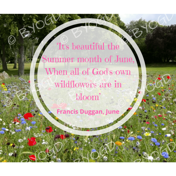 Quote image 123: It's beautiful the Summer month of June