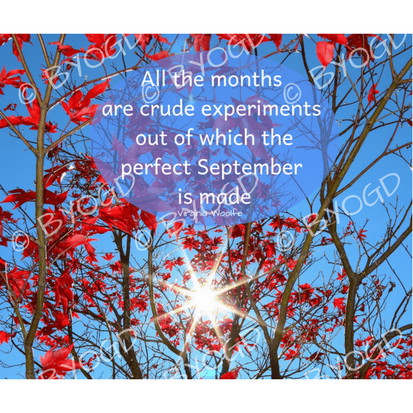 Quote image 175: All the months are crude experiments