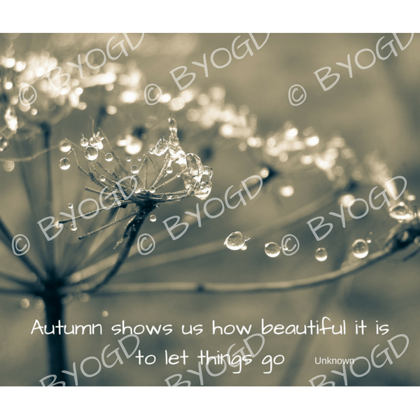Quote image 187: Autumn shows us how beautiful