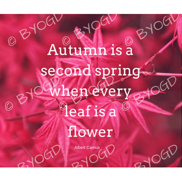 Quote image 188: Autumn is a second spring when