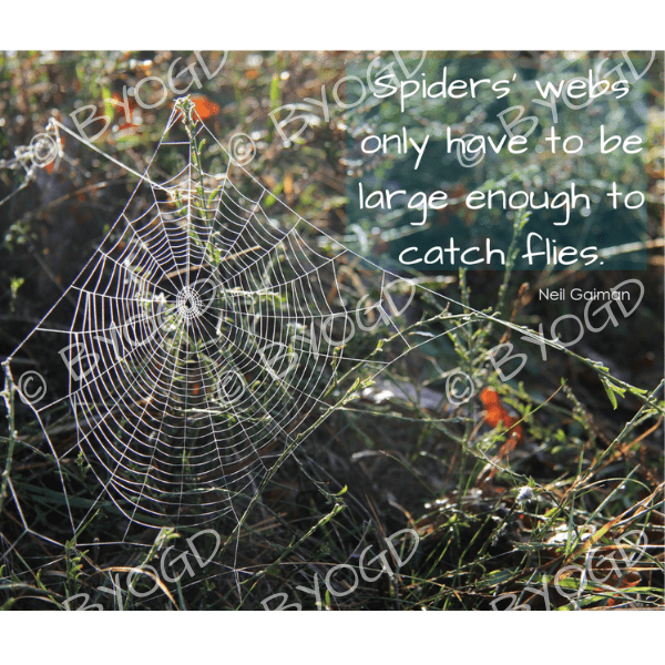 Quote image 219: Spiders' webs only have to be