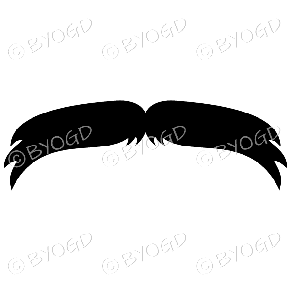 Droopy Moustache