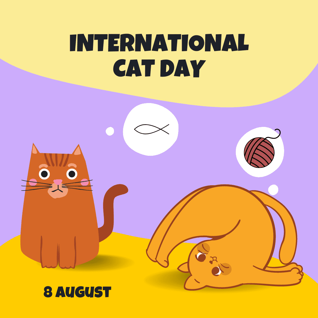 International Cat Day August 2022